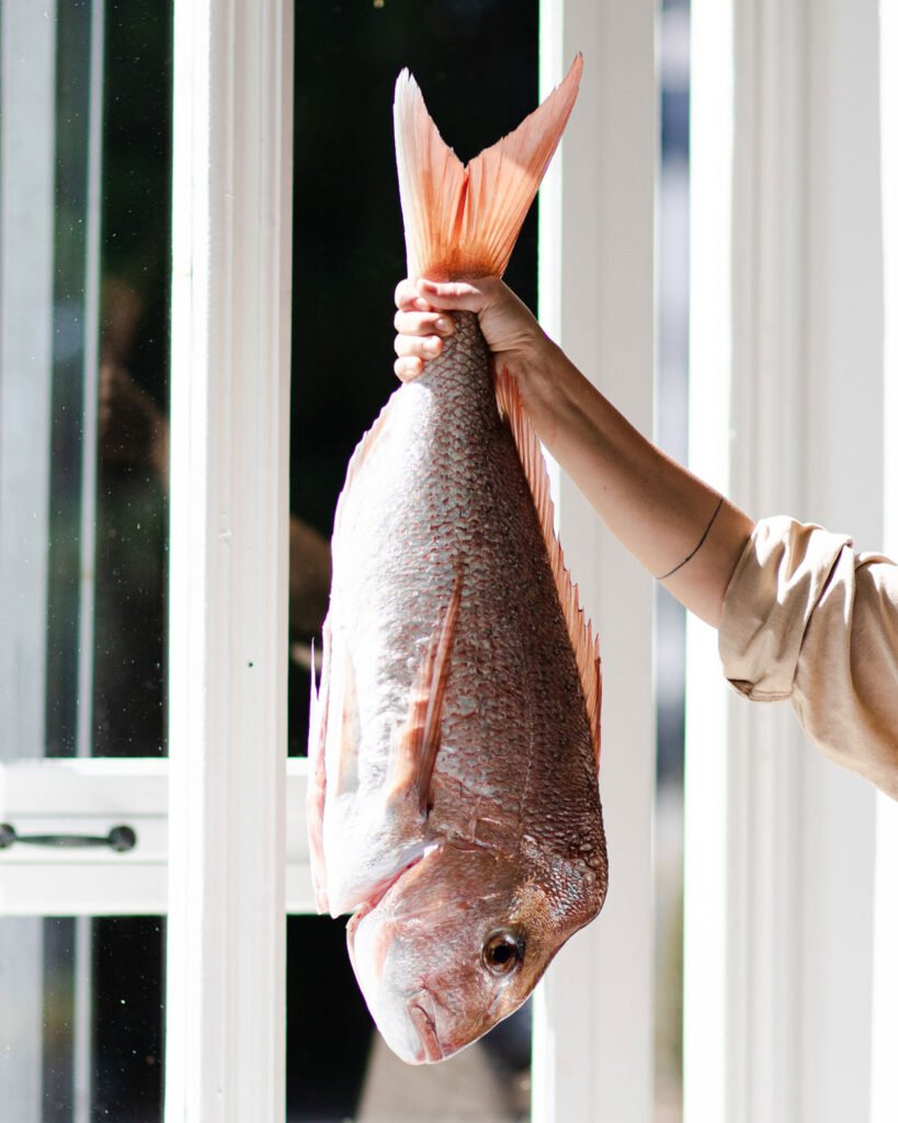 fresh-seafood2